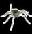 Ettercap  icon